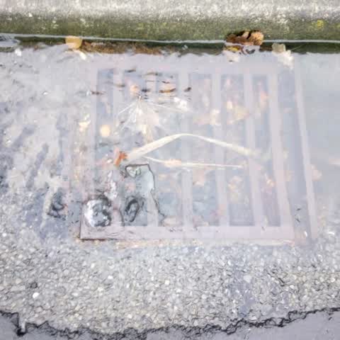 Flooding, a report photo