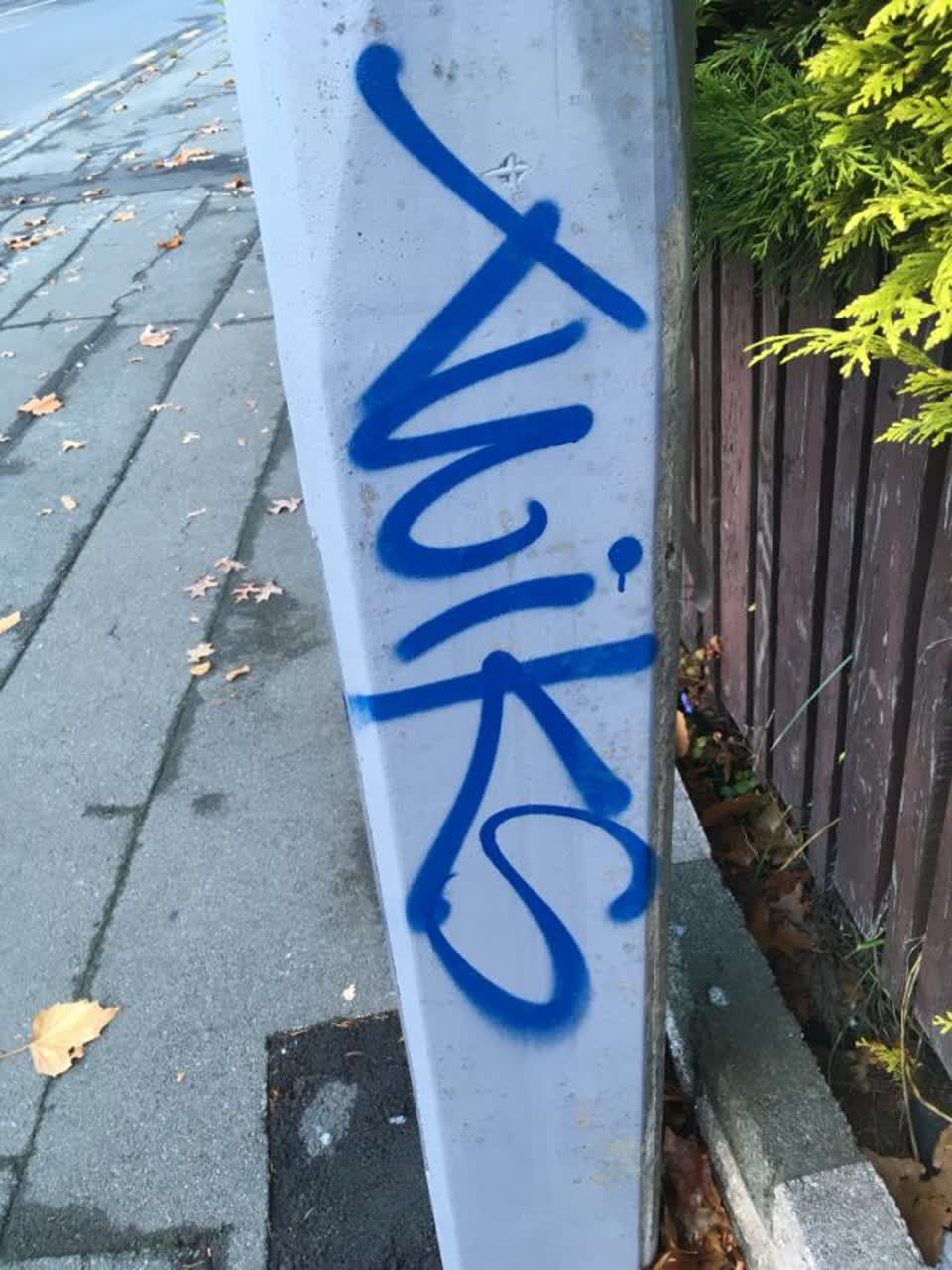 The photograph attached to this graffiti report