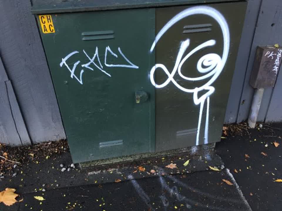 The photograph attached to this graffiti report
