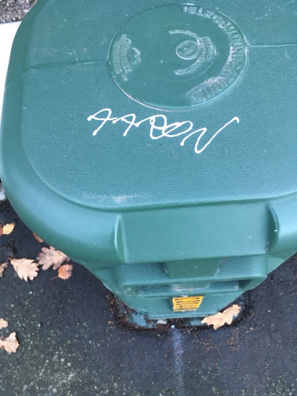 The photograph attached to this graffiti report