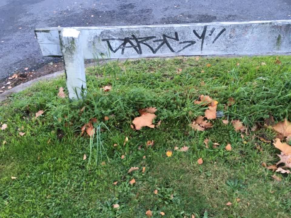 The photograph attached to this graffiti report