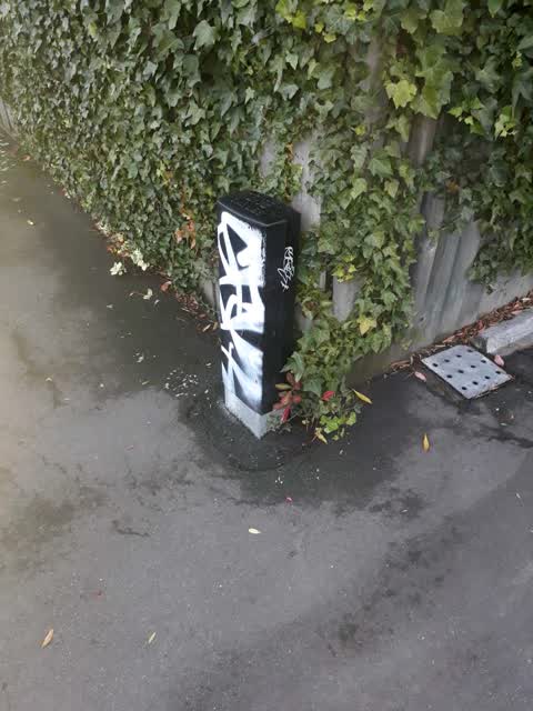 Graffiti, a report photo