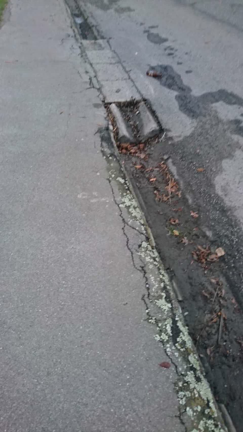 The photograph attached to this roading/streets report