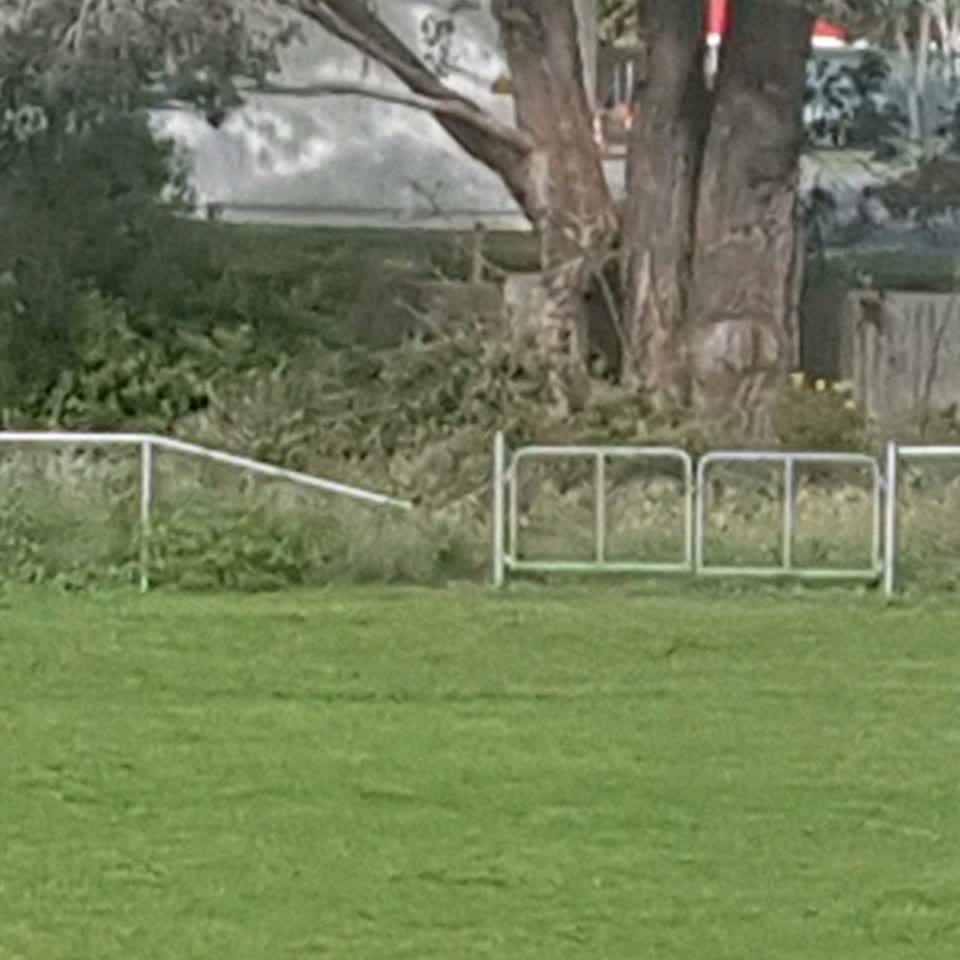 The photograph attached to this parks report