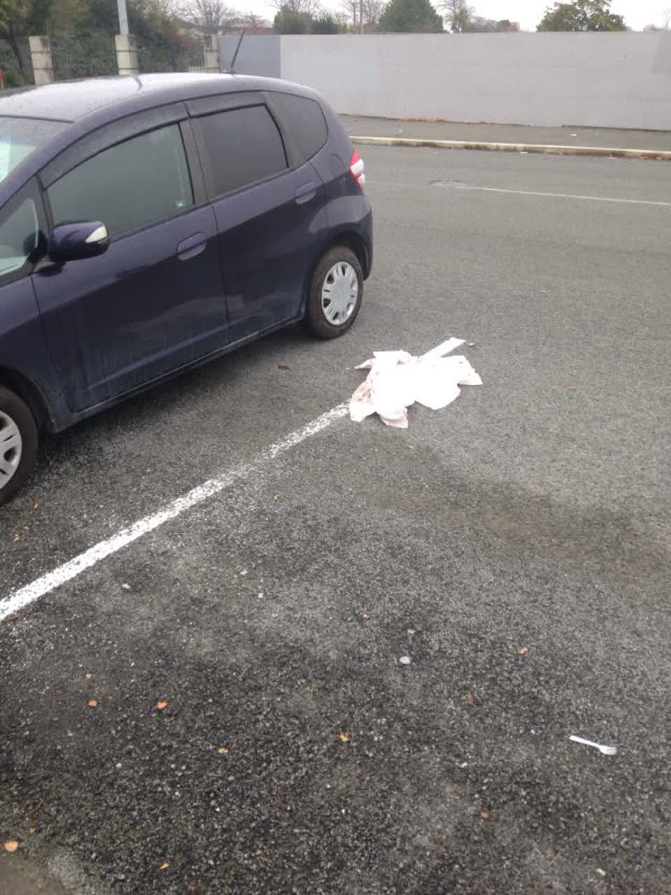 The photograph attached to this rubbish/recycling report
