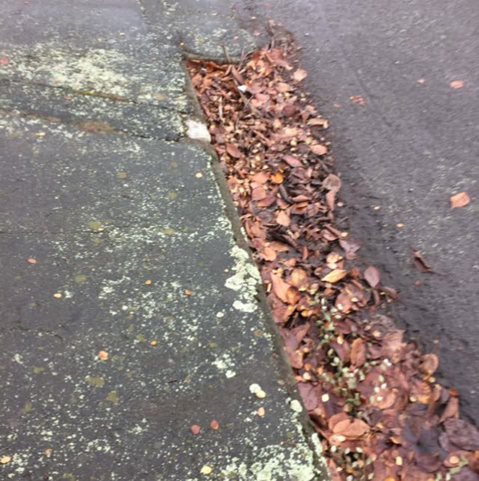 The photograph attached to this roading/streets report