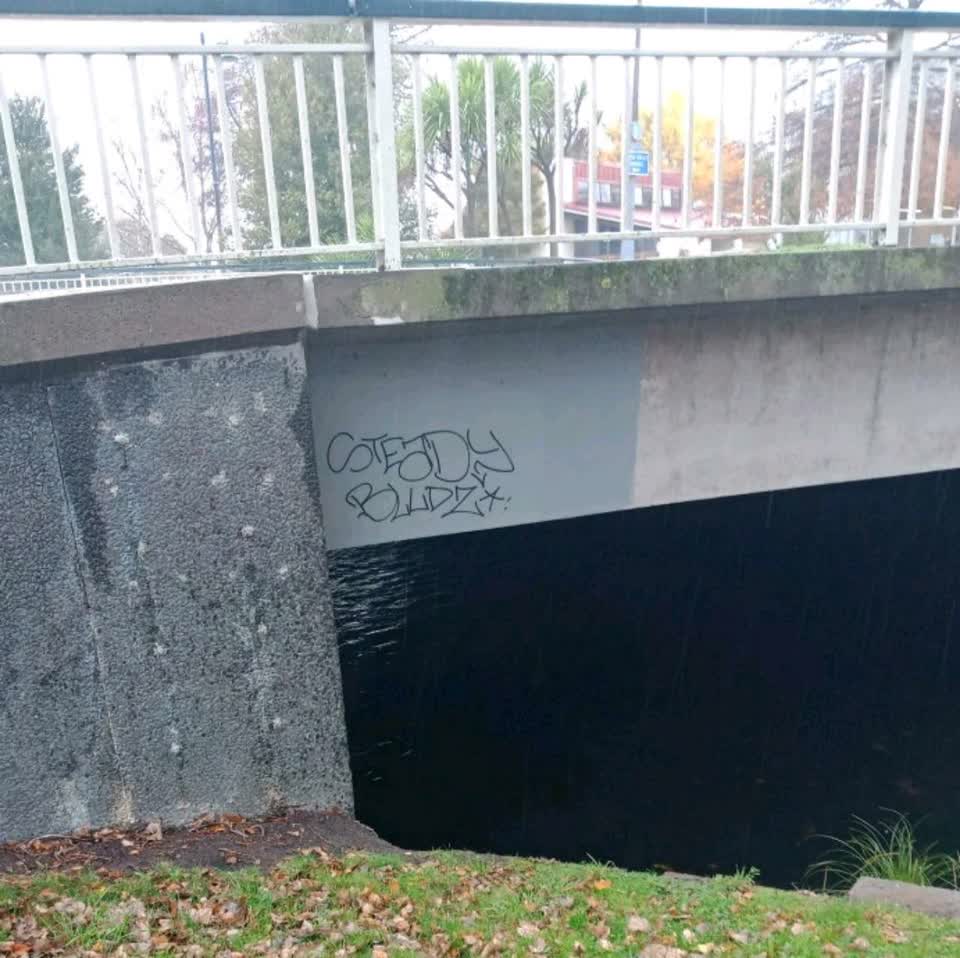 The photograph attached to this graffiti report
