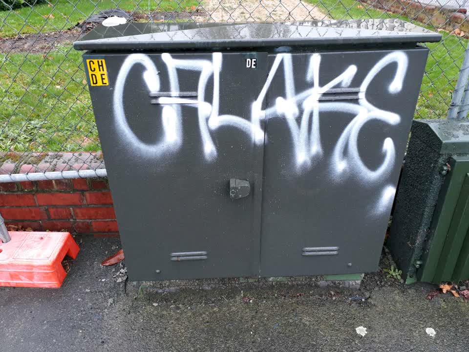 The photograph attached to this graffiti report