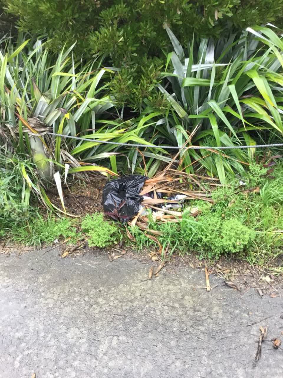 The photograph attached to this rubbish/recycling report