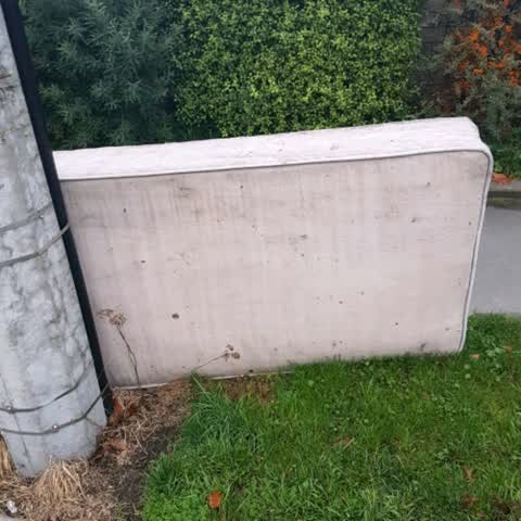 Rubbish/Recycling, a report photo