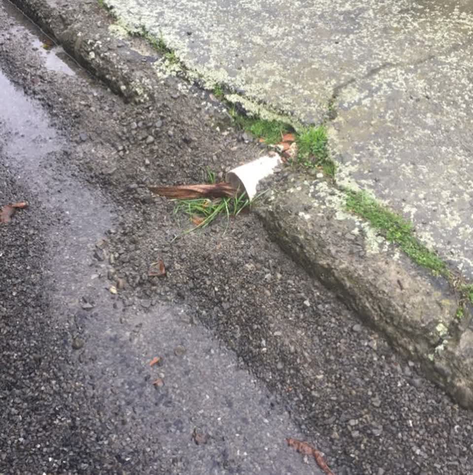 The photograph attached to this roading/streets report