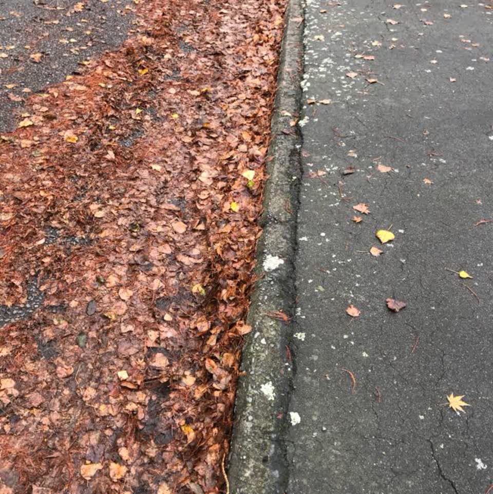The photograph attached to this roading/streets report