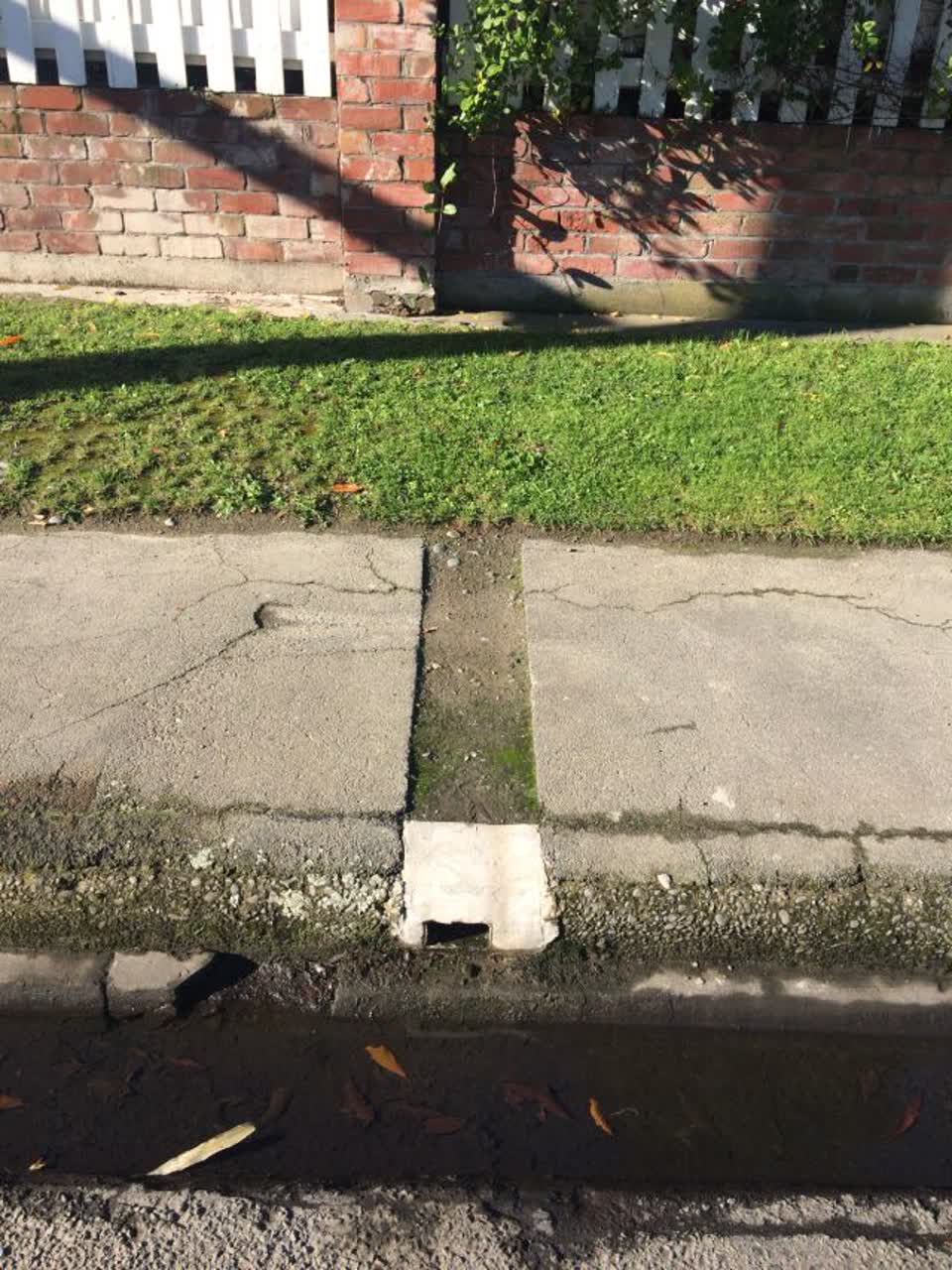 The photograph attached to this roading/streets report