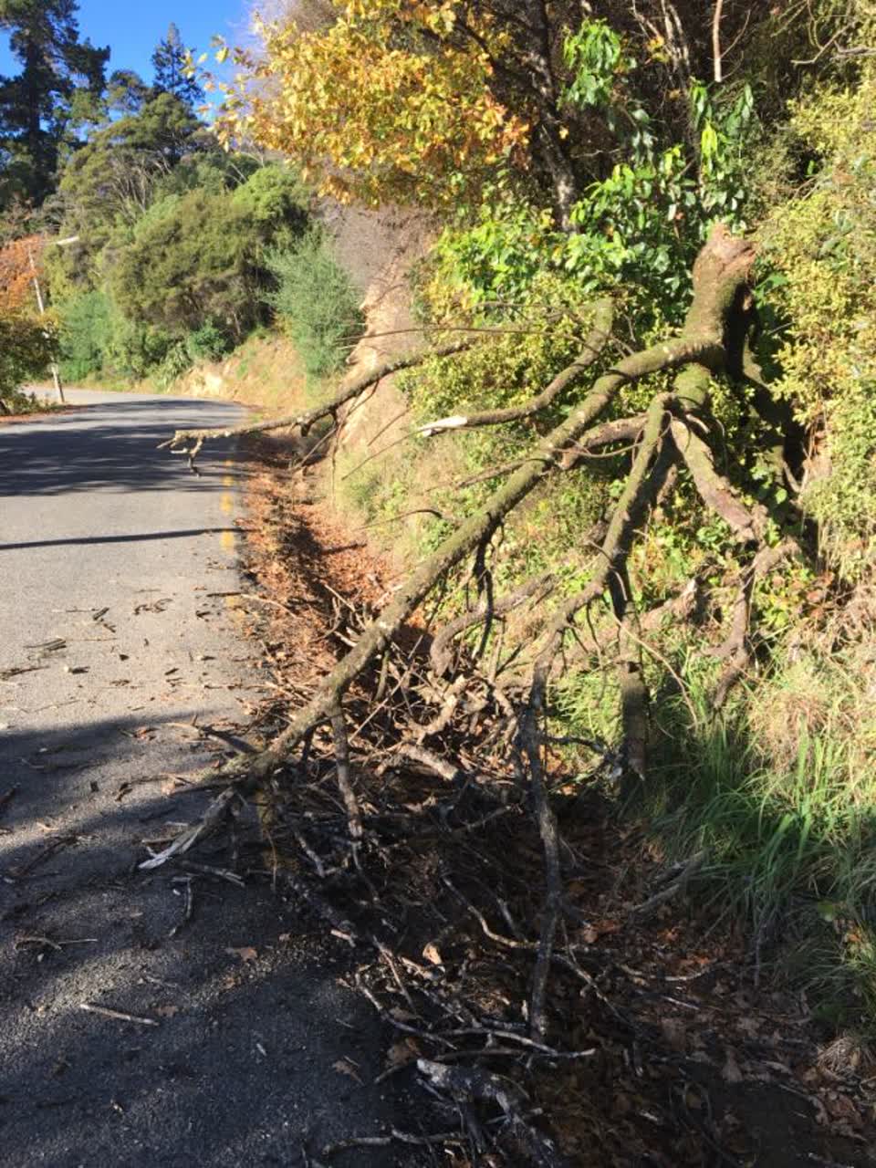 The photograph attached to this roading/streets report