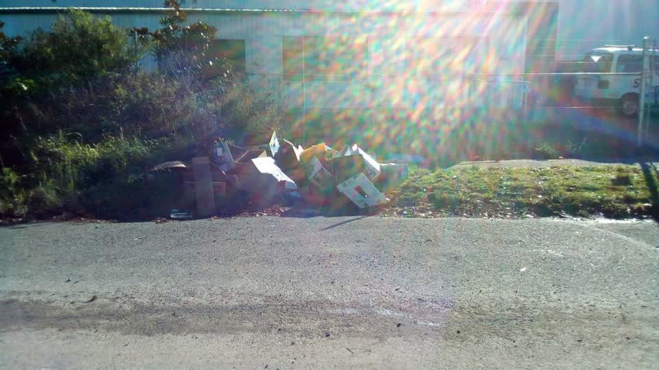 The photograph attached to this rubbish/recycling report