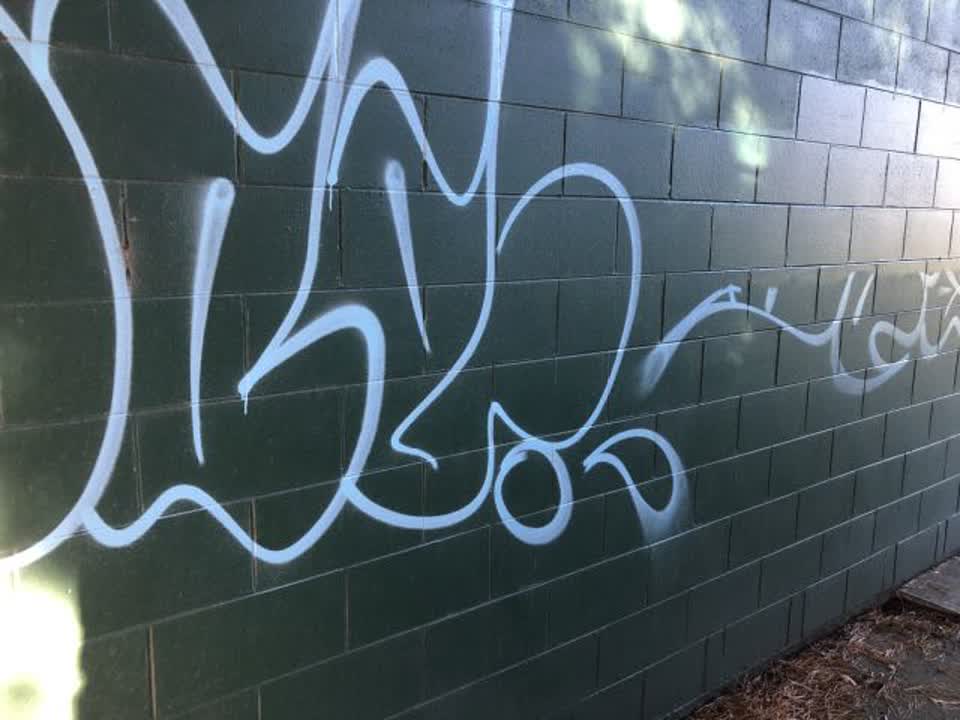 The photograph attached to this graffiti report
