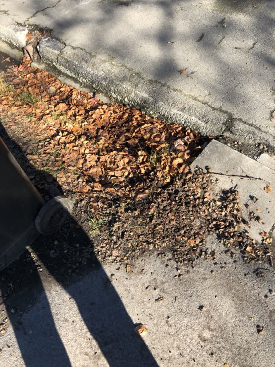 The photograph attached to this wastewater/stormwater report