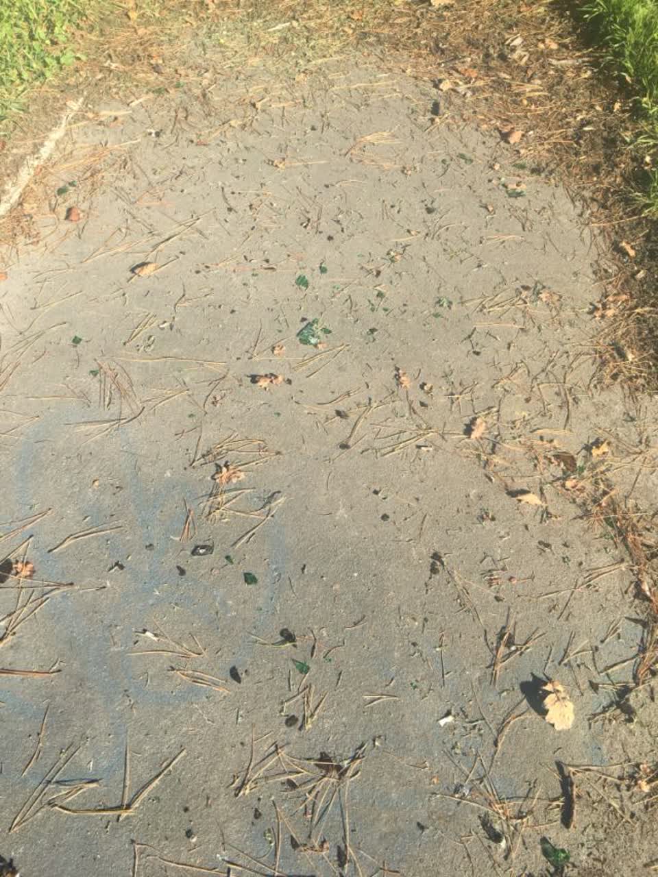 The photograph attached to this parks report