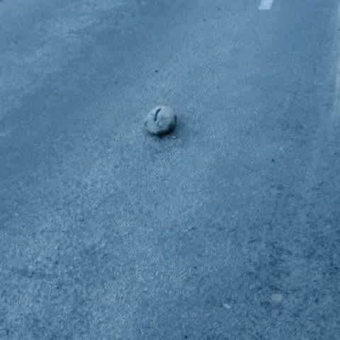 Roading/Streets, a report photo