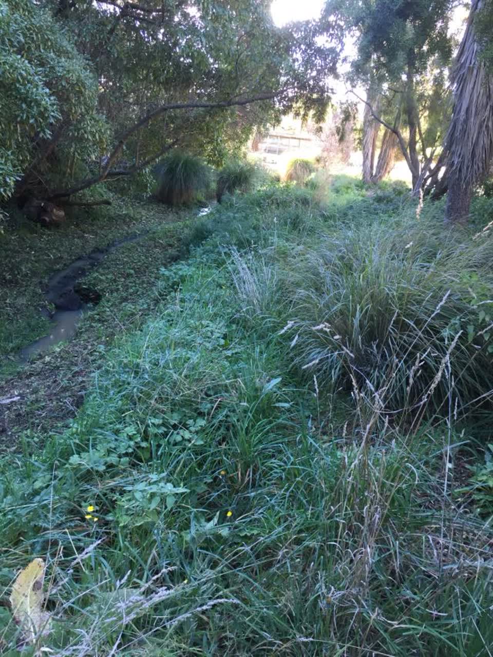 The photograph attached to this parks report