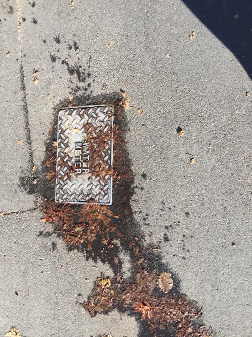 The photograph attached to this water supply report