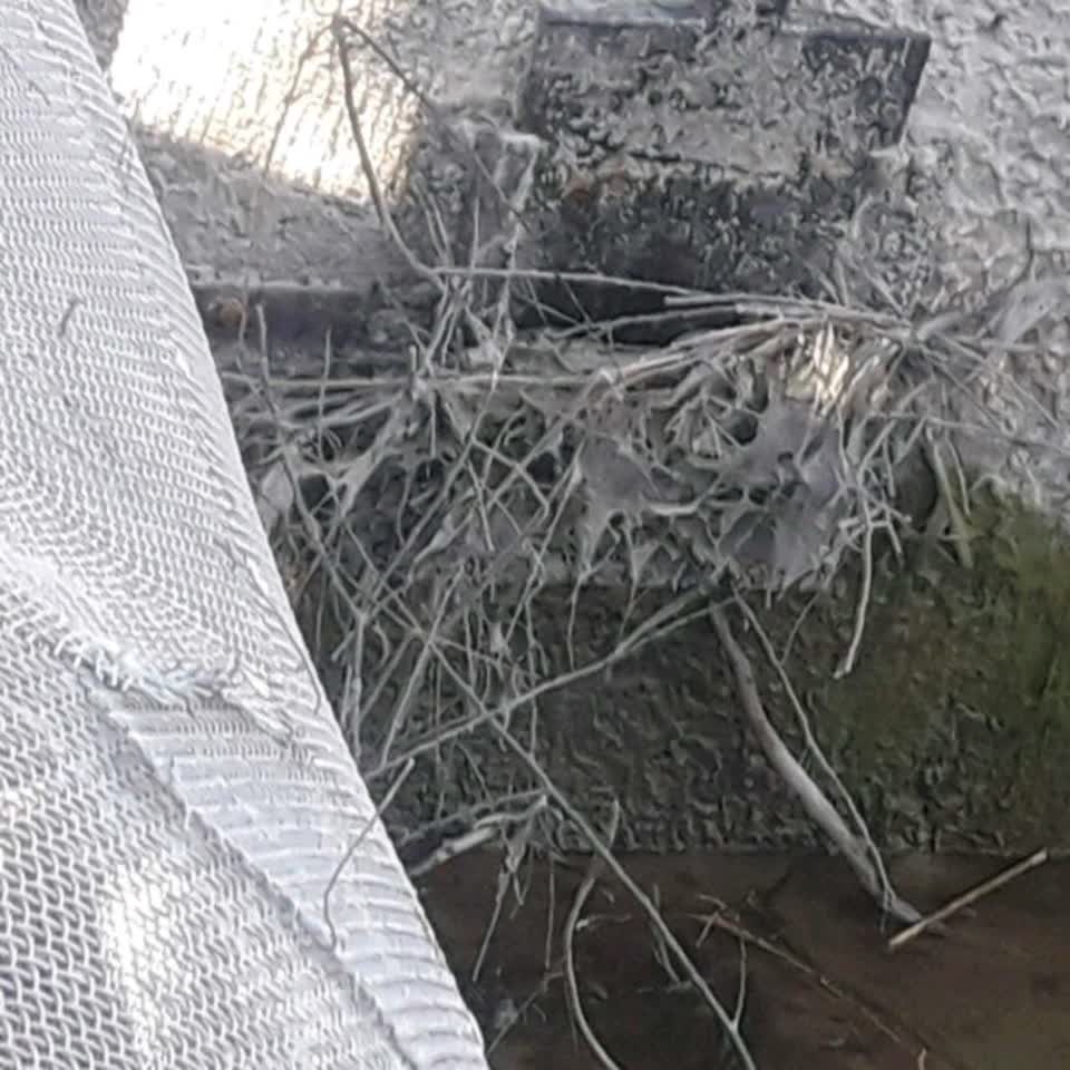 The photograph attached to this water supply report