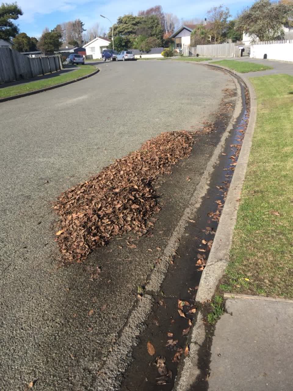 The photograph attached to this roading/streets report