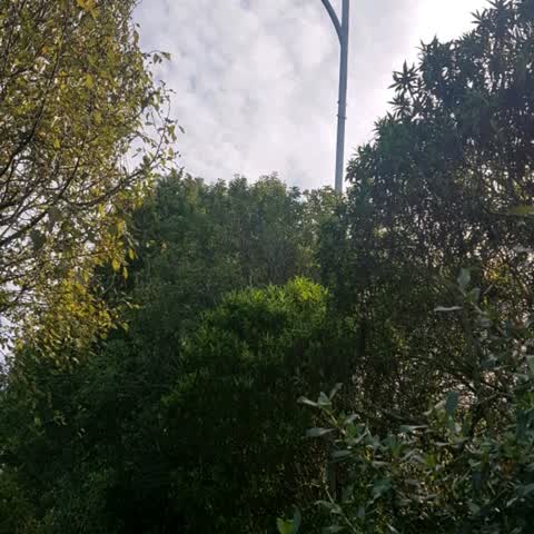 Parks, a report photo