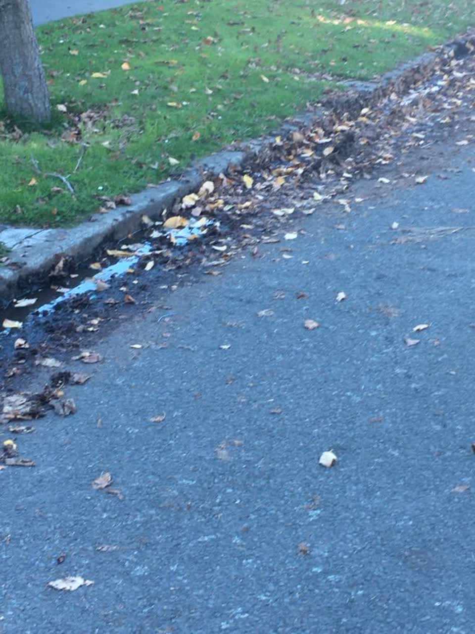 The photograph attached to this wastewater/stormwater report