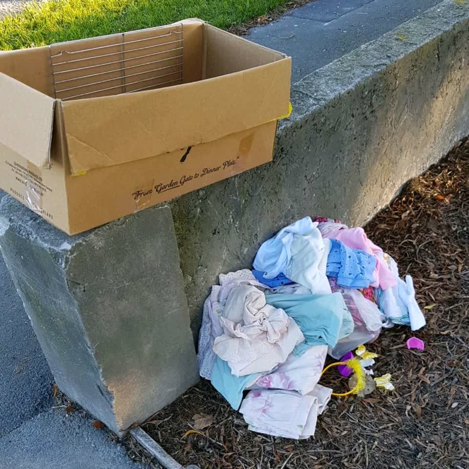 The photograph attached to this rubbish/recycling report