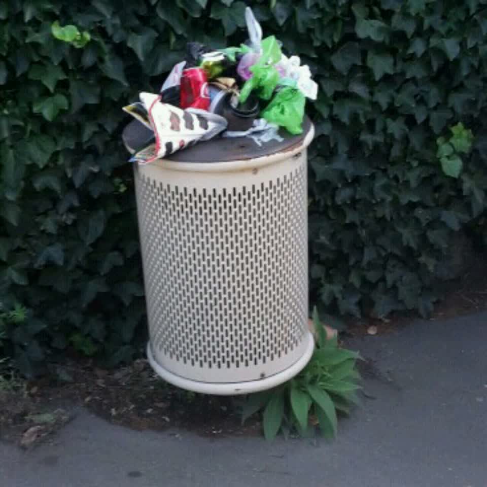 The photograph attached to this rubbish/recycling report
