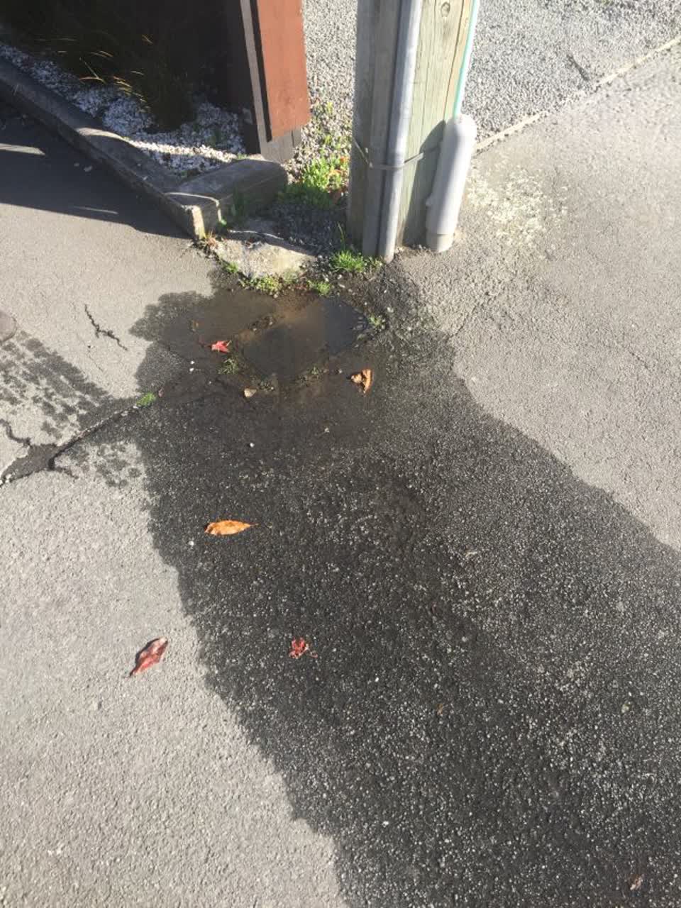 The photograph attached to this water supply report