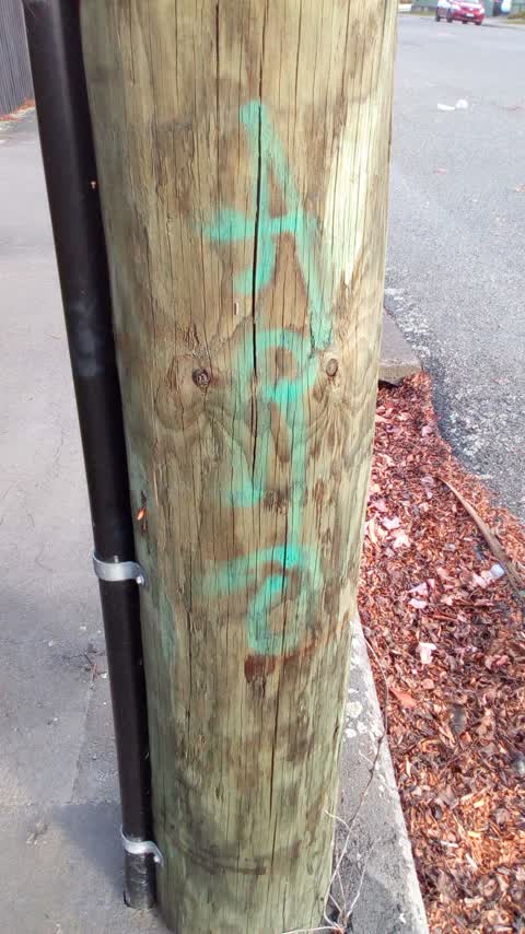 Graffiti, a report photo