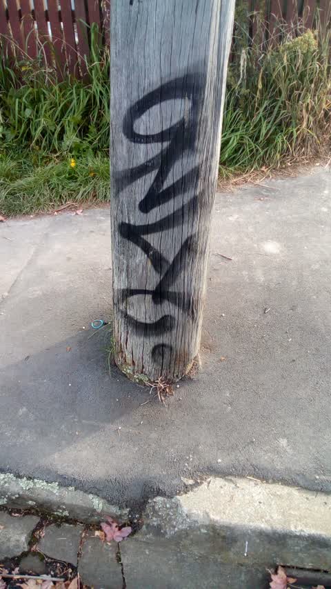 Graffiti, a report photo