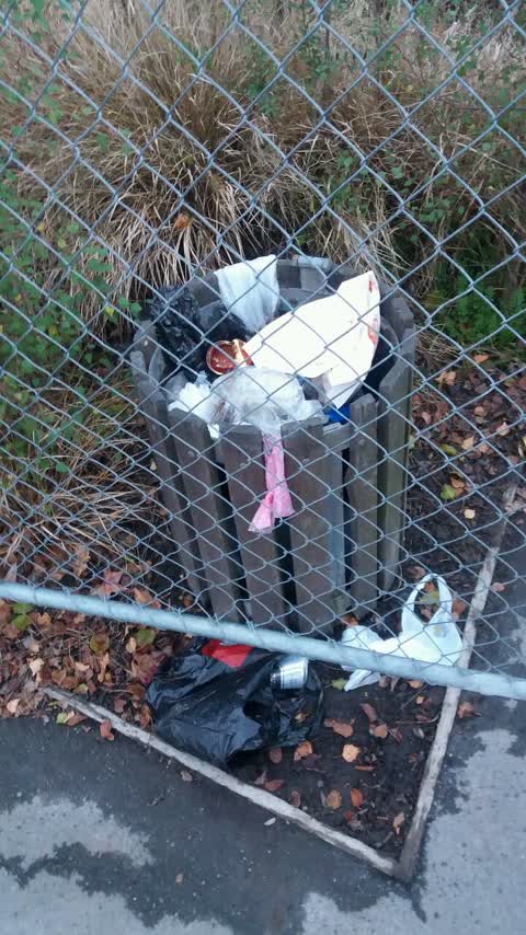 Rubbish/Recycling, a report photo