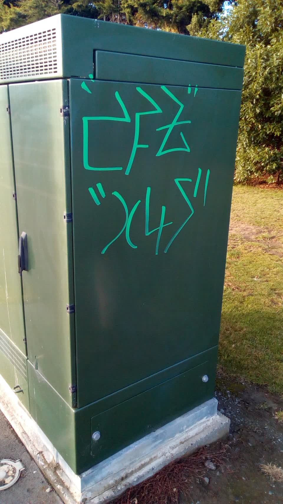 The photograph attached to this graffiti report