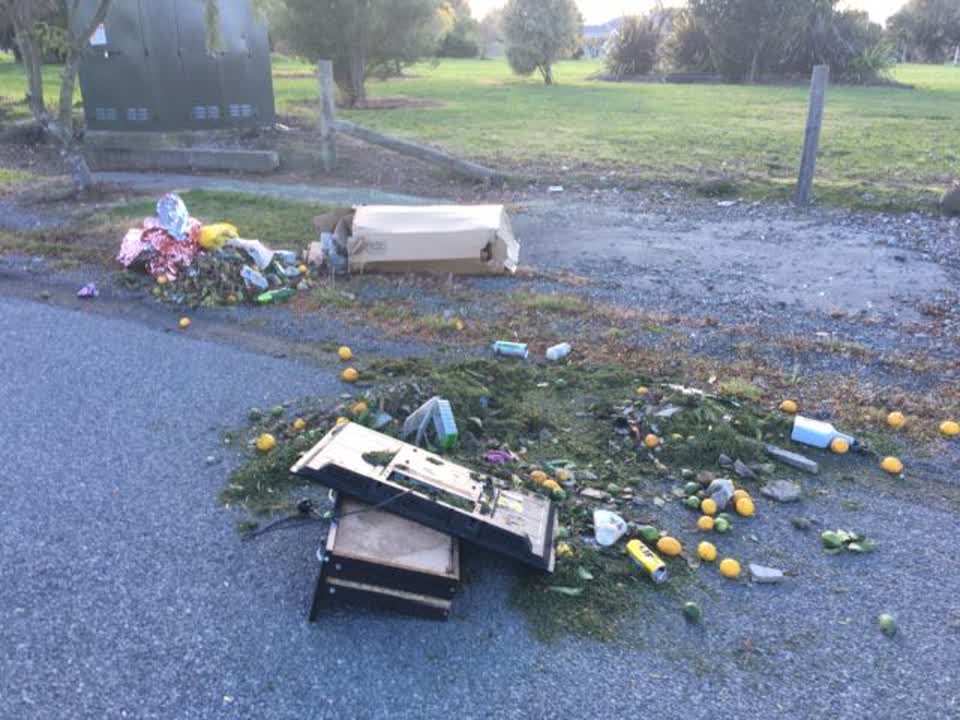 The photograph attached to this rubbish/recycling report