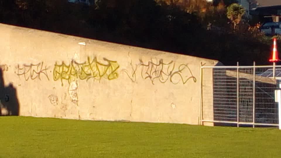 The photograph attached to this graffiti report