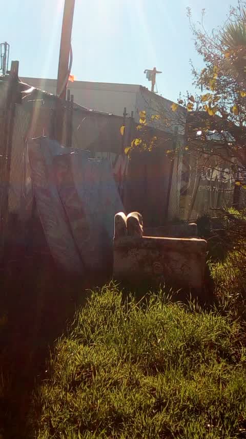 Rubbish/Recycling, a report photo