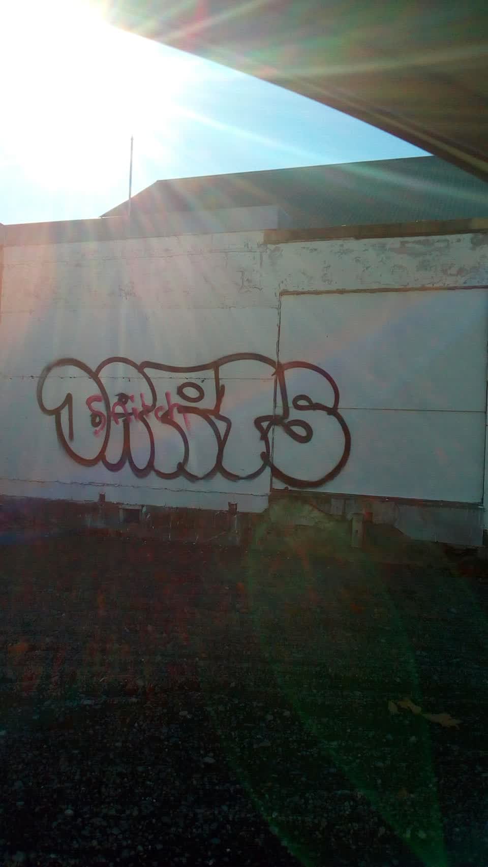The photograph attached to this graffiti report