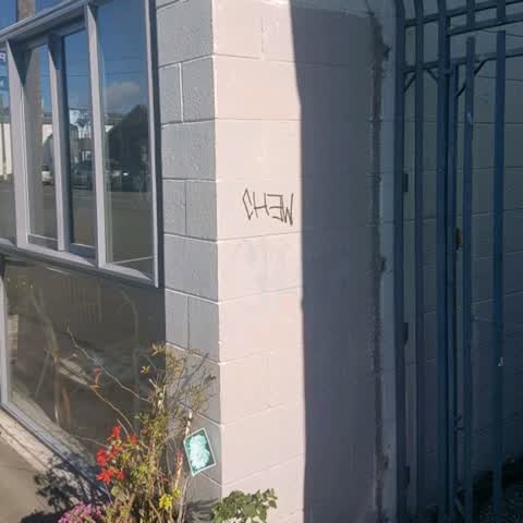 Graffiti, a report photo