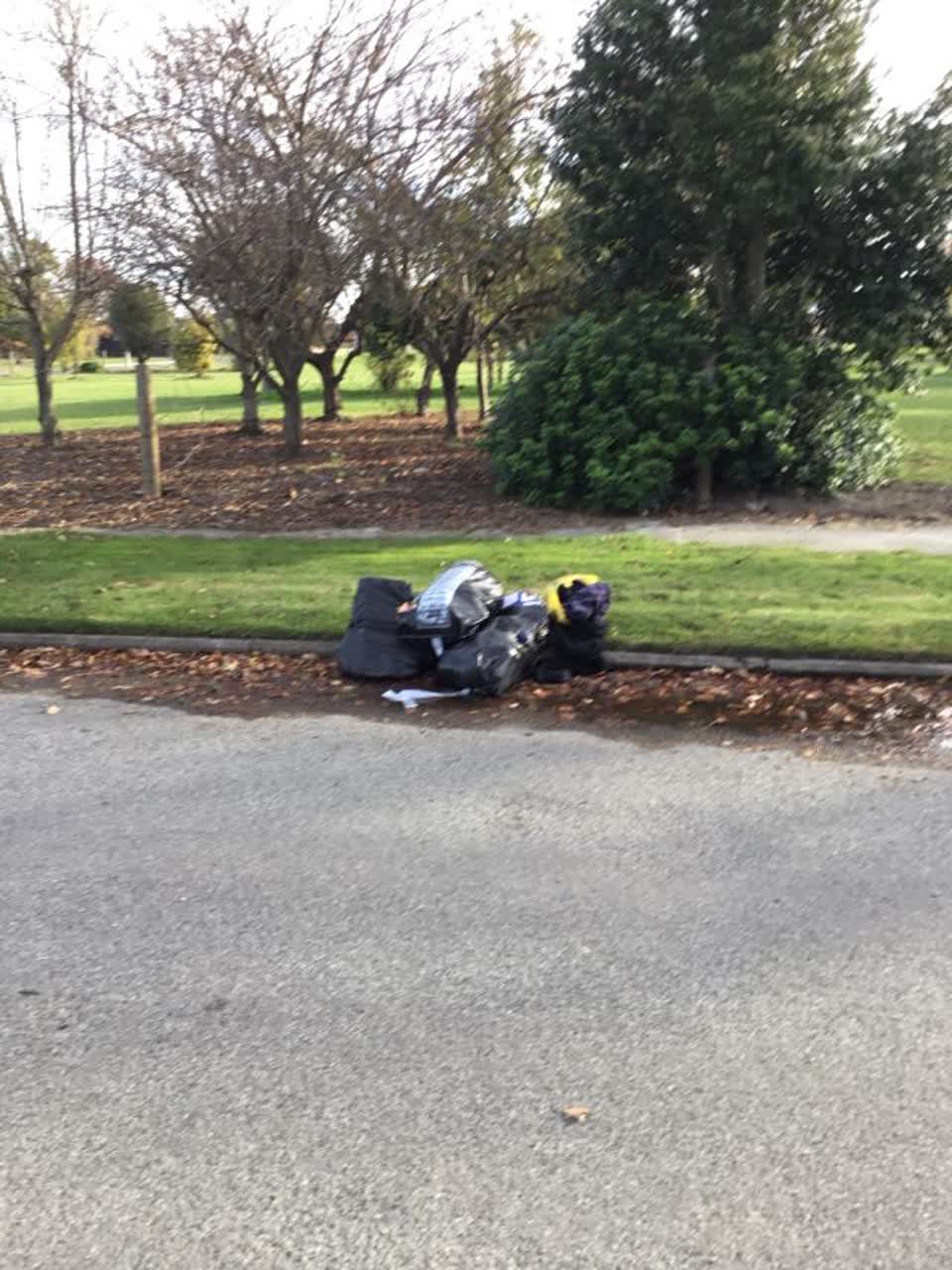 The photograph attached to this rubbish/recycling report