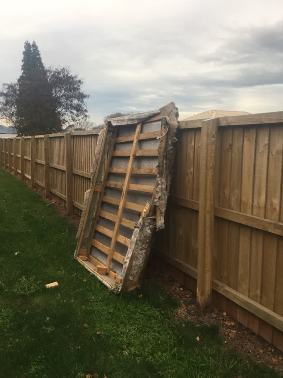 The photograph attached to this parks report