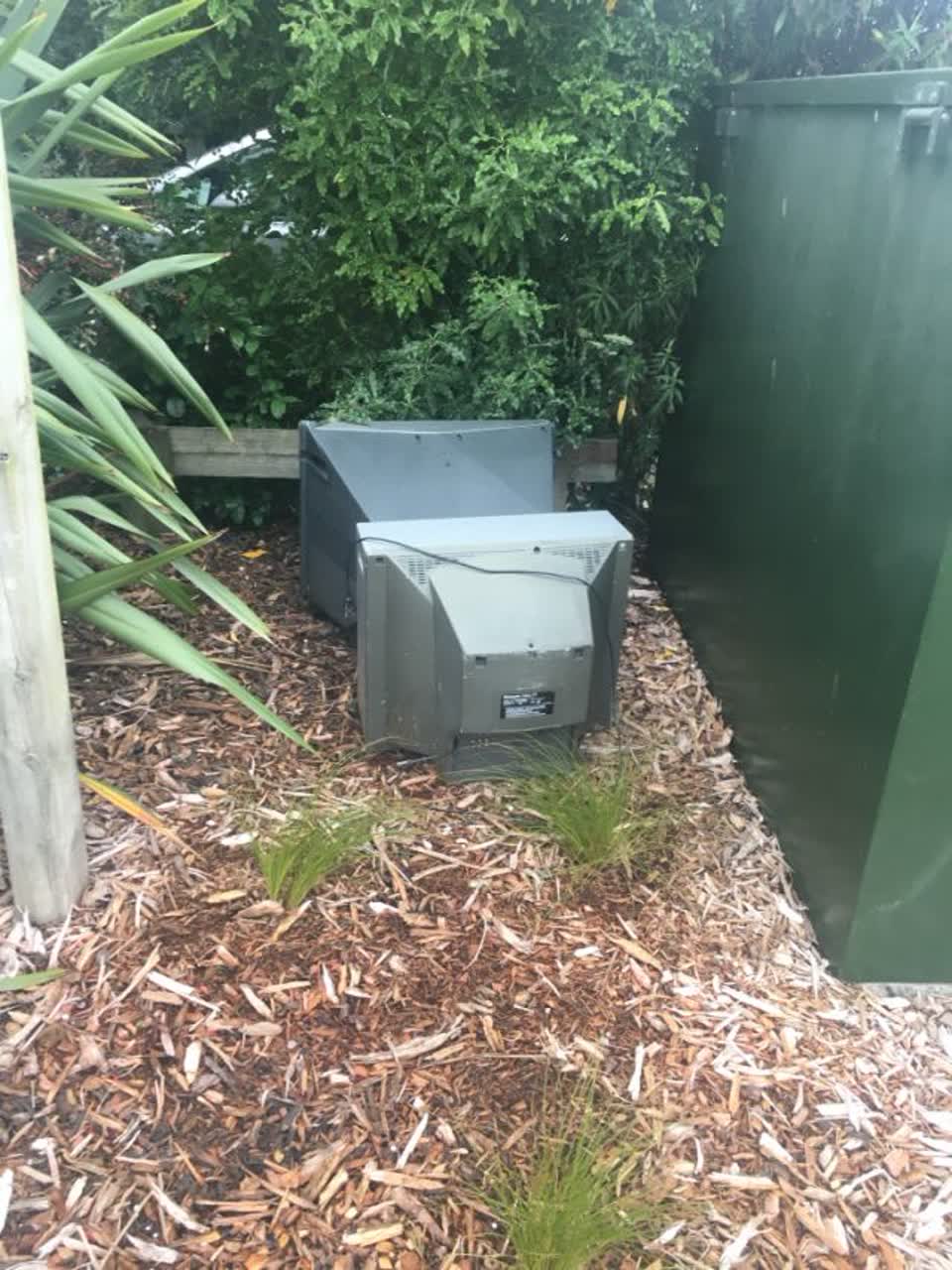 The photograph attached to this parks report