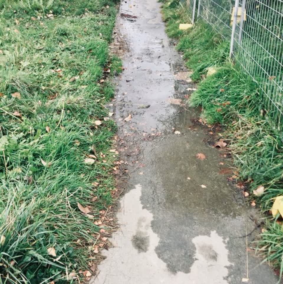 The photograph attached to this water supply report