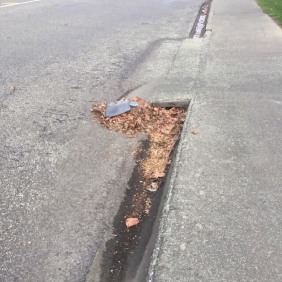 The photograph attached to this roading/streets report