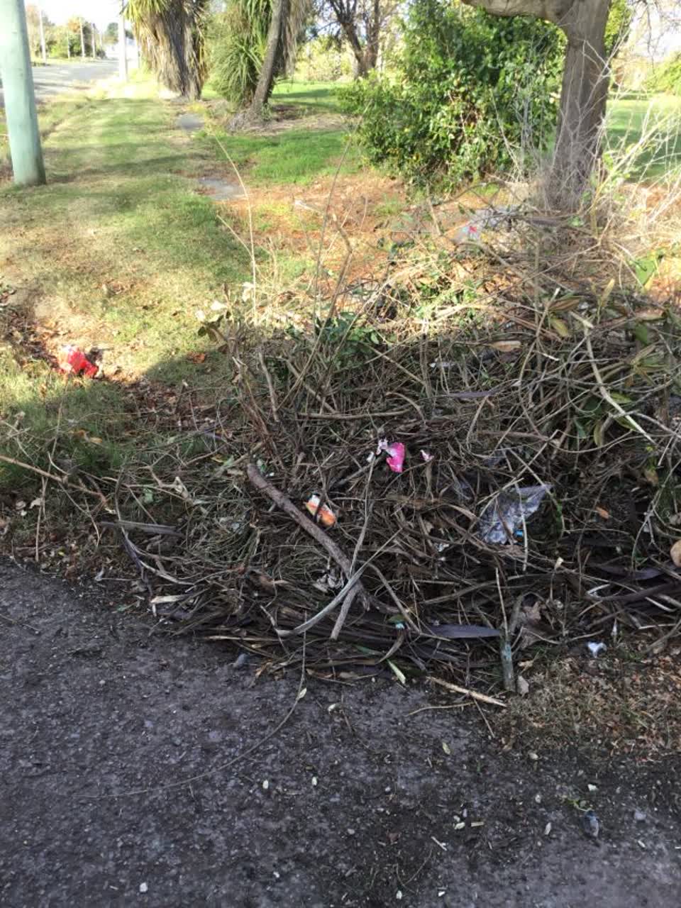 The photograph attached to this rubbish/recycling report