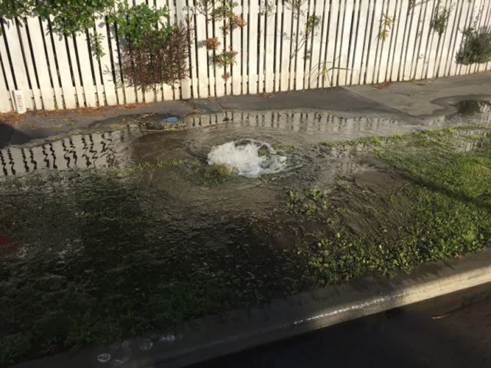 The photograph attached to this water supply report