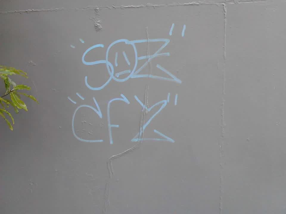 The photograph attached to this graffiti report