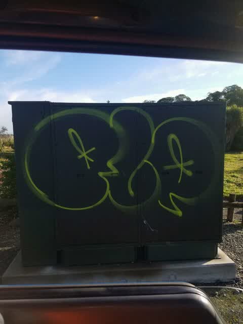 Graffiti, a report photo